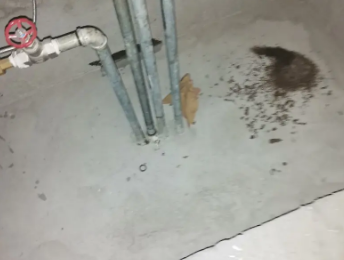 怀柔卫生间测漏水价格明细