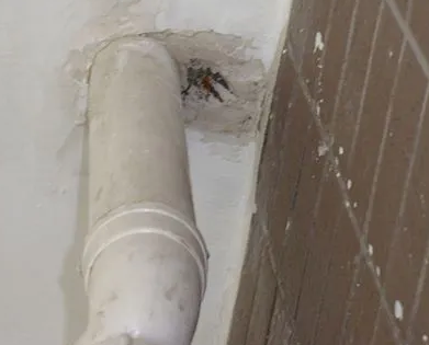 怀柔漏水检测哪家好